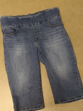 Bandolino Below Knee Women's Theadora Denim Skimmer Shorts Size 10